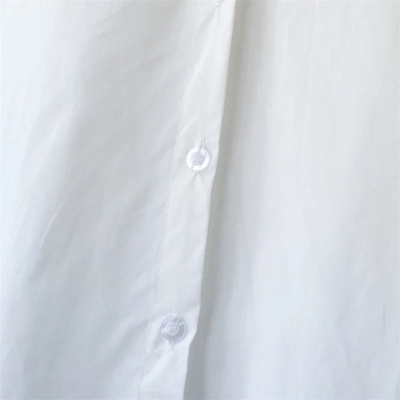 Sc03971c08f604ea79ddd6ddced0aae40c